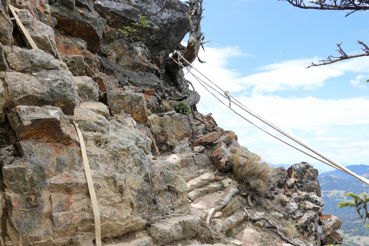 戶外困難地形通過課程心得攀樹感想