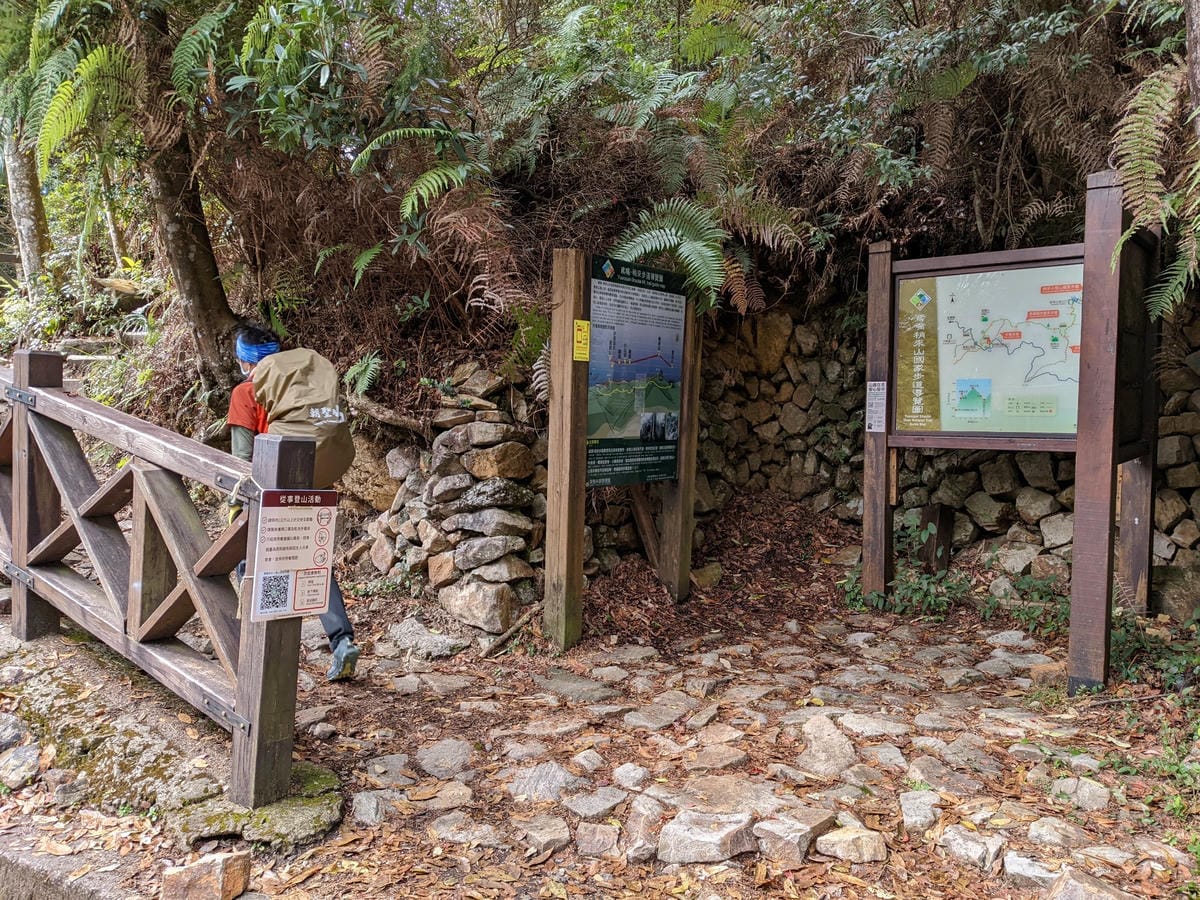 鳶嘴稍來山環狀O型 | 攀爬拉繩森林浴通吃