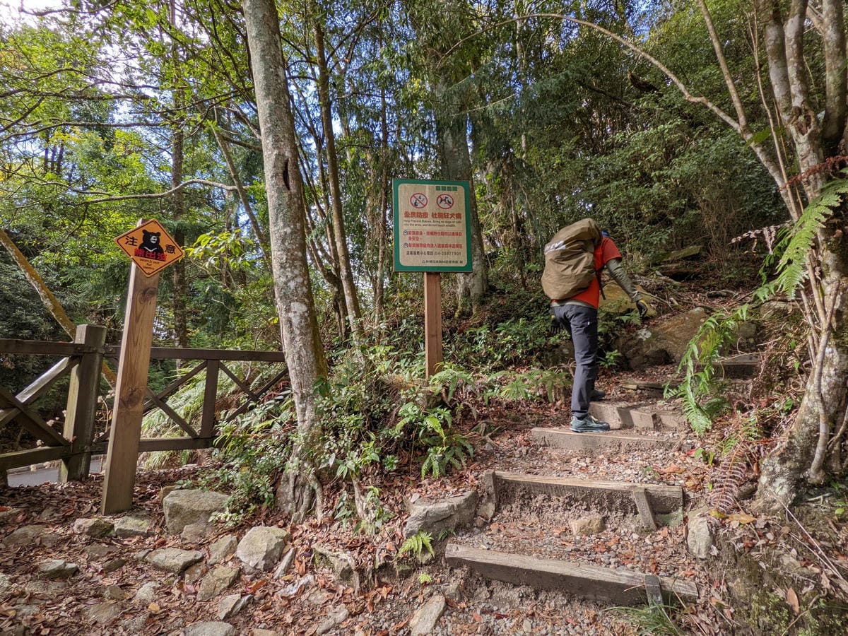 鳶嘴稍來山環狀O型 | 攀爬拉繩森林浴通吃