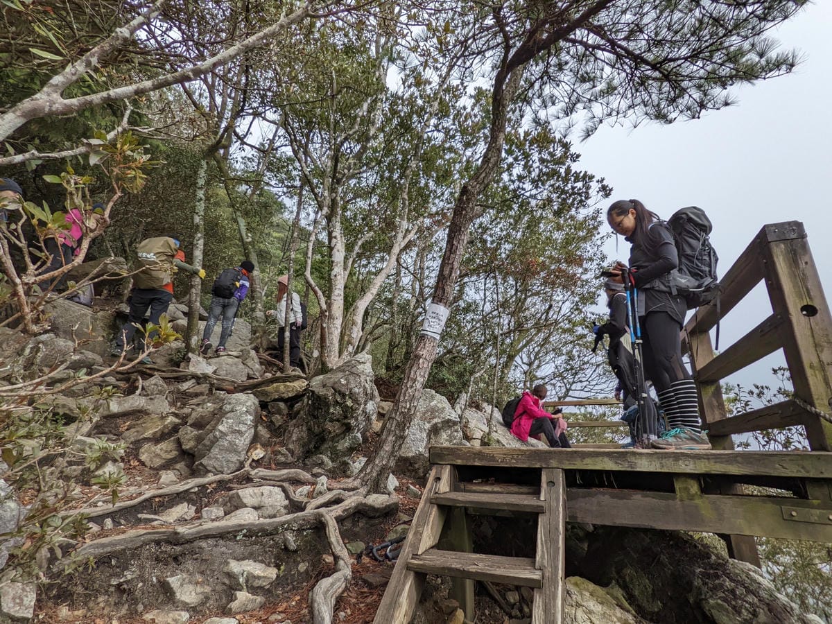 鳶嘴稍來山環狀O型 | 攀爬拉繩森林浴通吃