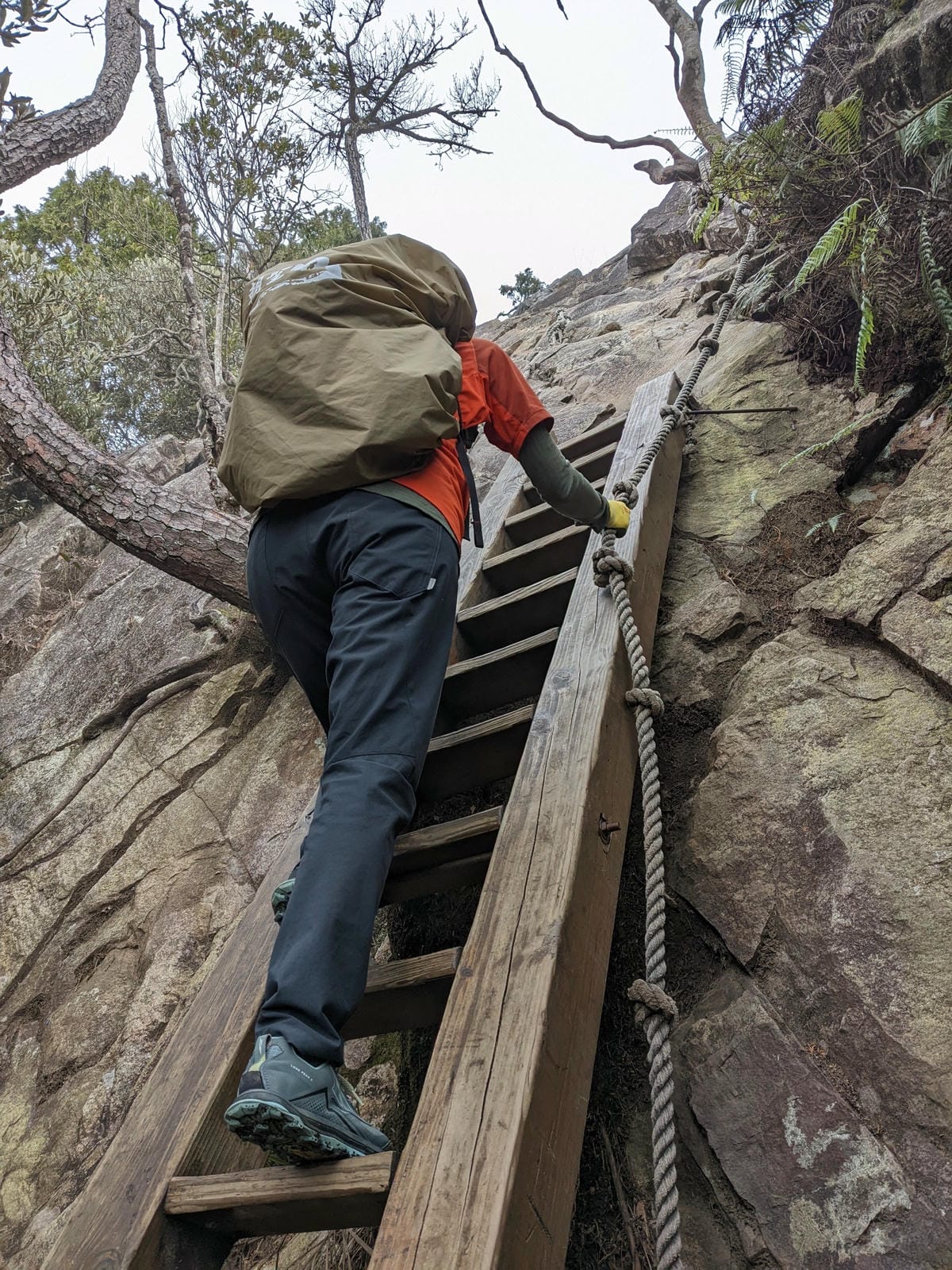 鳶嘴稍來山環狀O型 | 攀爬拉繩森林浴通吃