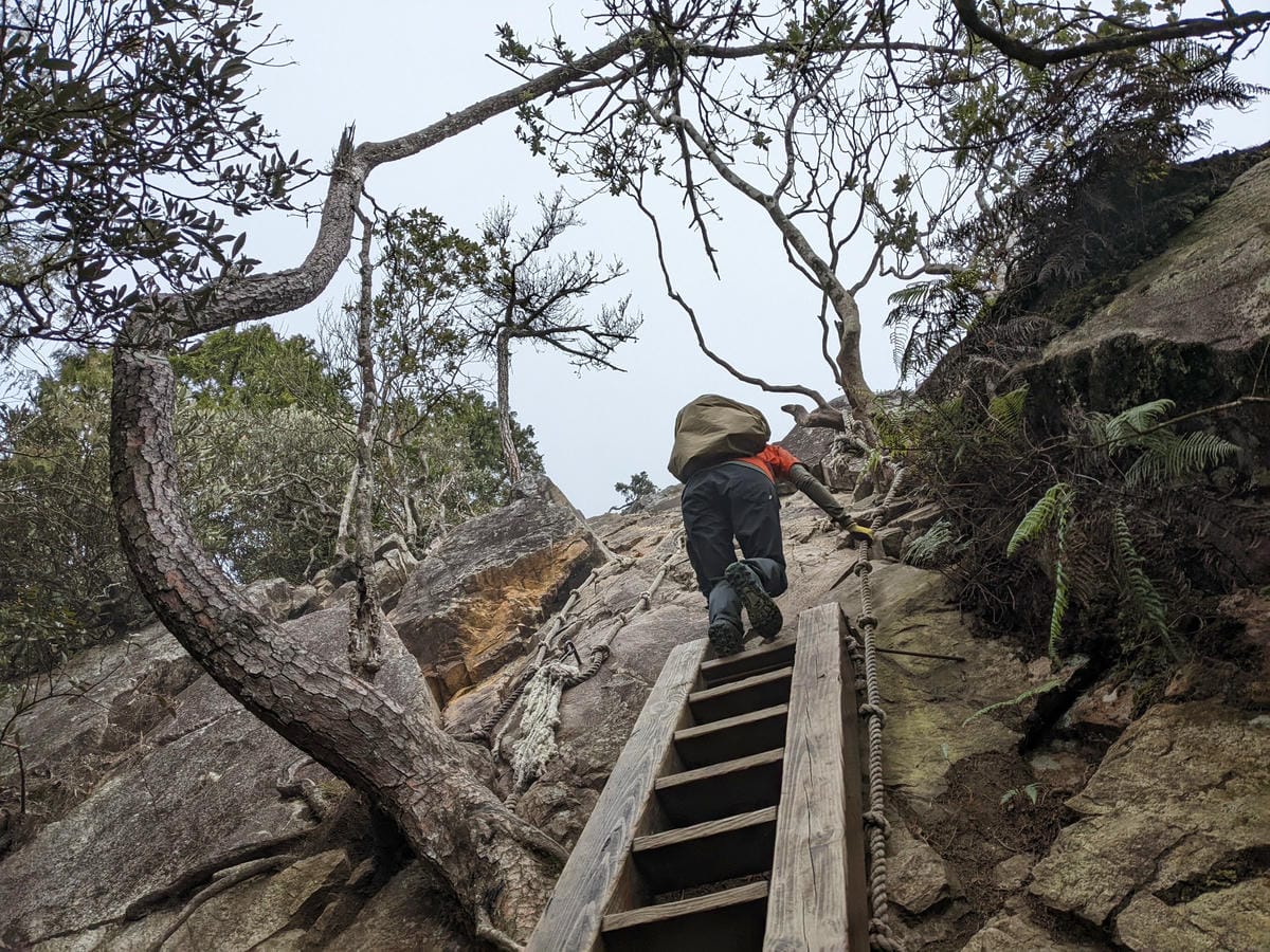 鳶嘴稍來山環狀O型 | 攀爬拉繩森林浴通吃