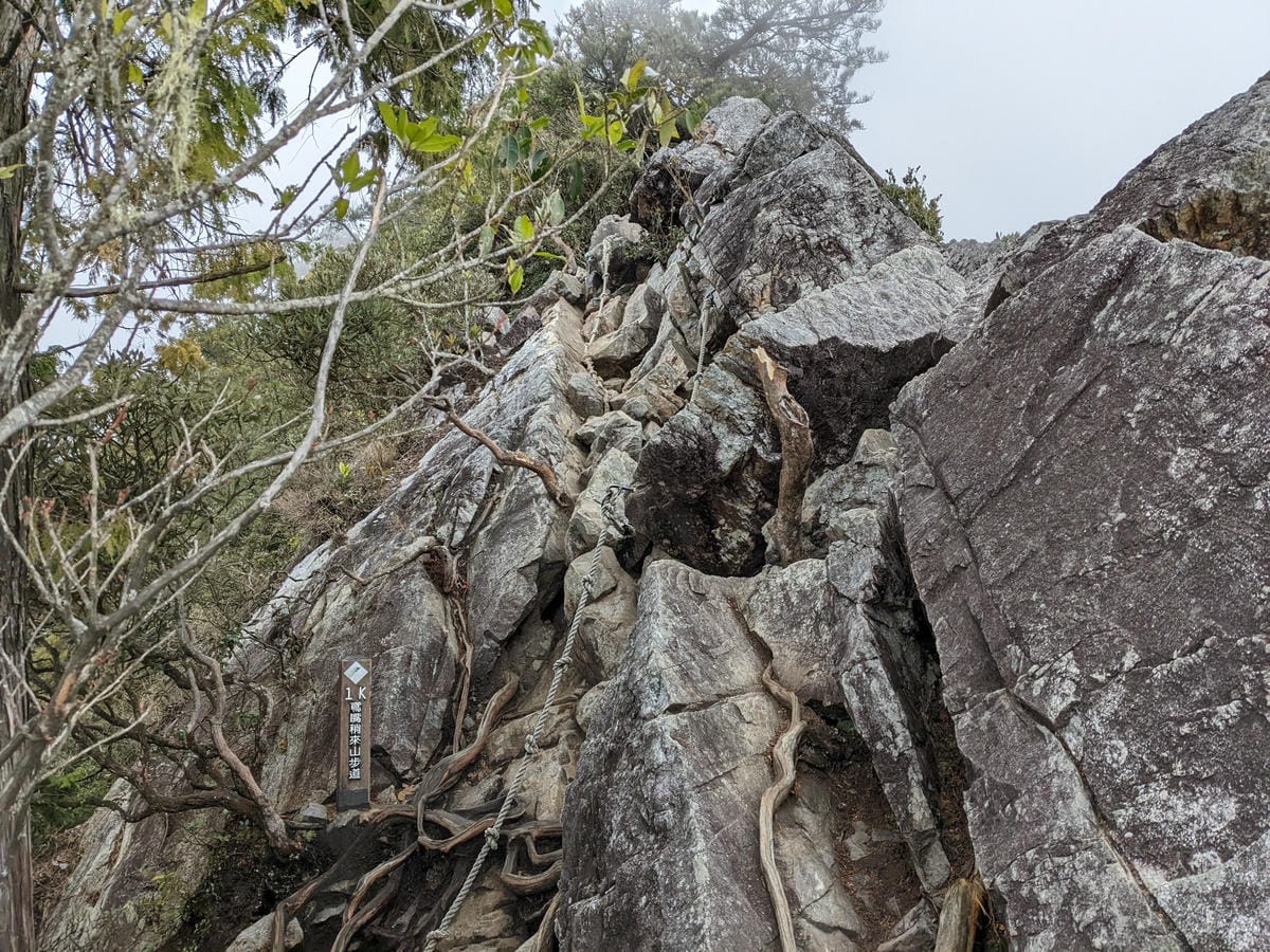 鳶嘴稍來山環狀O型 | 攀爬拉繩森林浴通吃