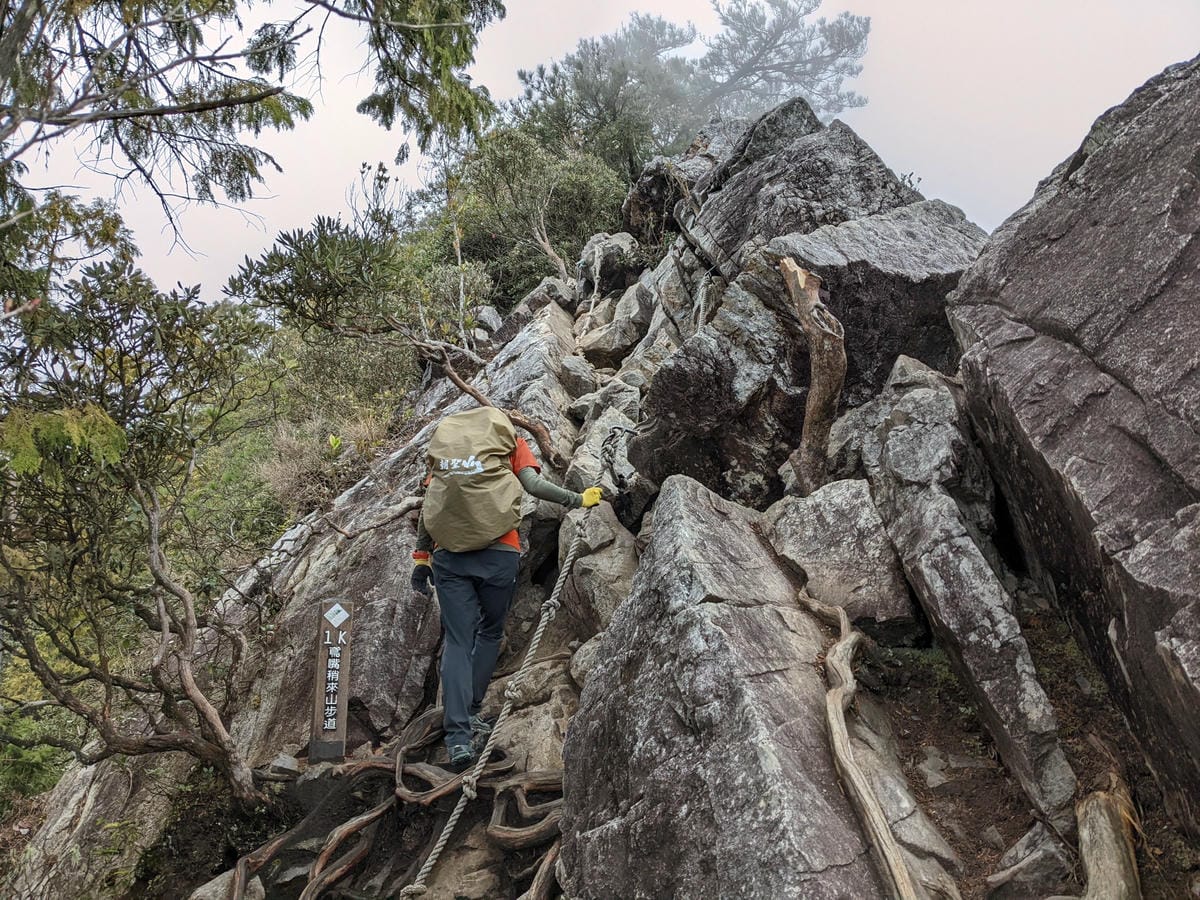 鳶嘴稍來山環狀O型 | 攀爬拉繩森林浴通吃