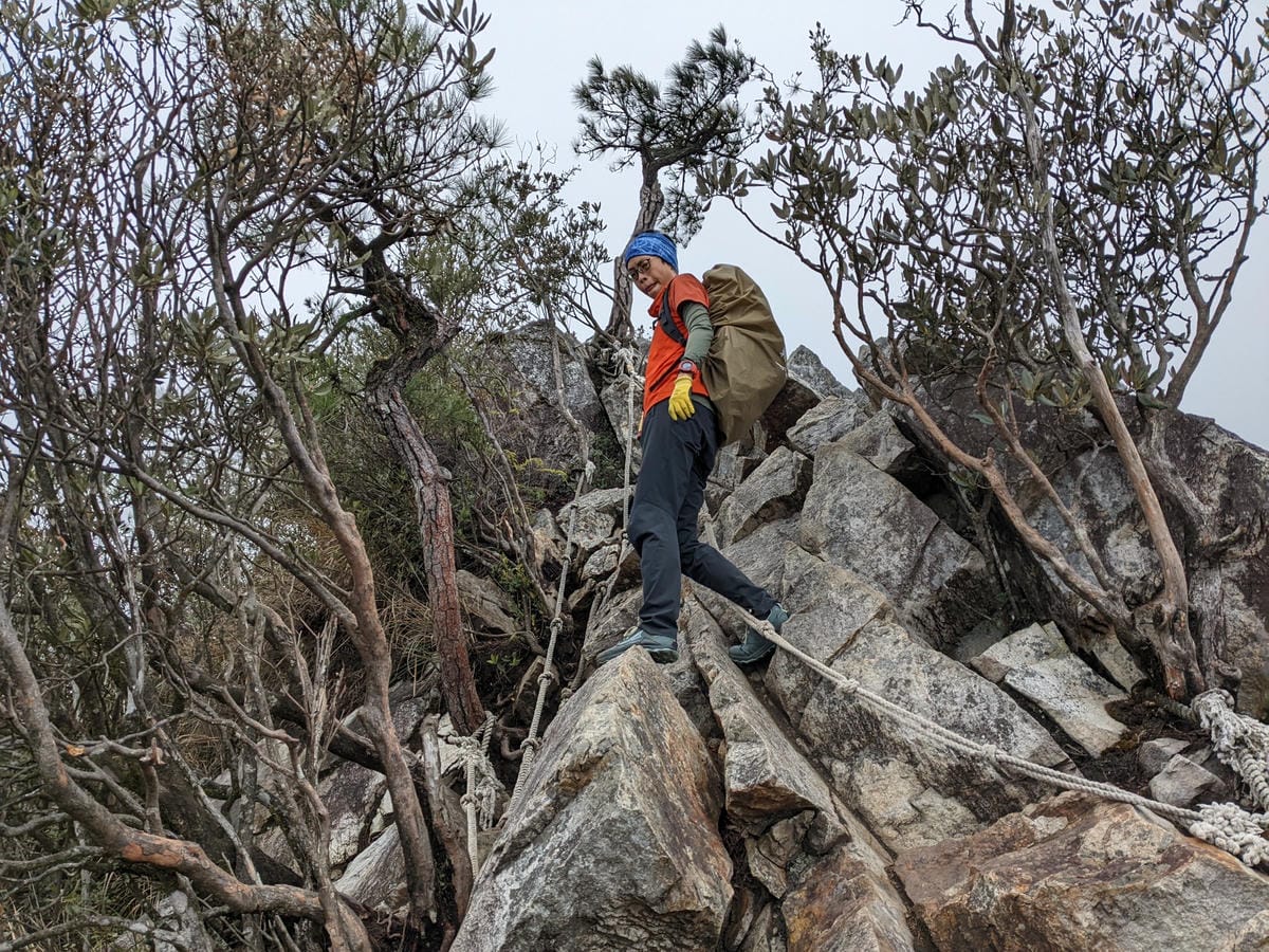 鳶嘴稍來山環狀O型 | 攀爬拉繩森林浴通吃