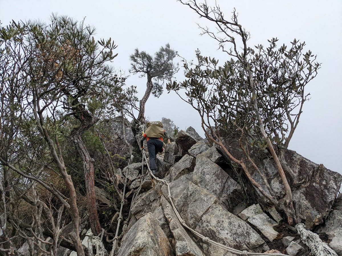 鳶嘴稍來山環狀O型 | 攀爬拉繩森林浴通吃