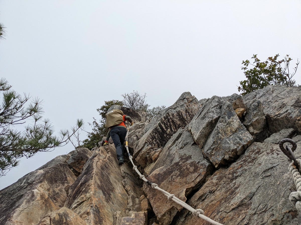 鳶嘴稍來山環狀O型 | 攀爬拉繩森林浴通吃