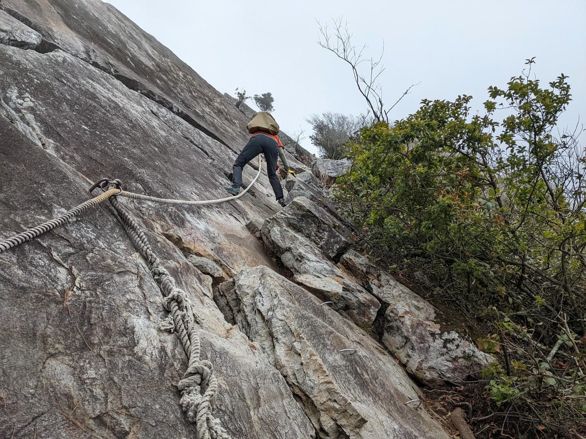 鳶嘴稍來山環狀O型 | 攀爬拉繩森林浴通吃