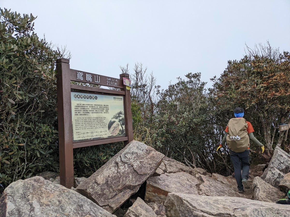 鳶嘴稍來山環狀O型 | 攀爬拉繩森林浴通吃