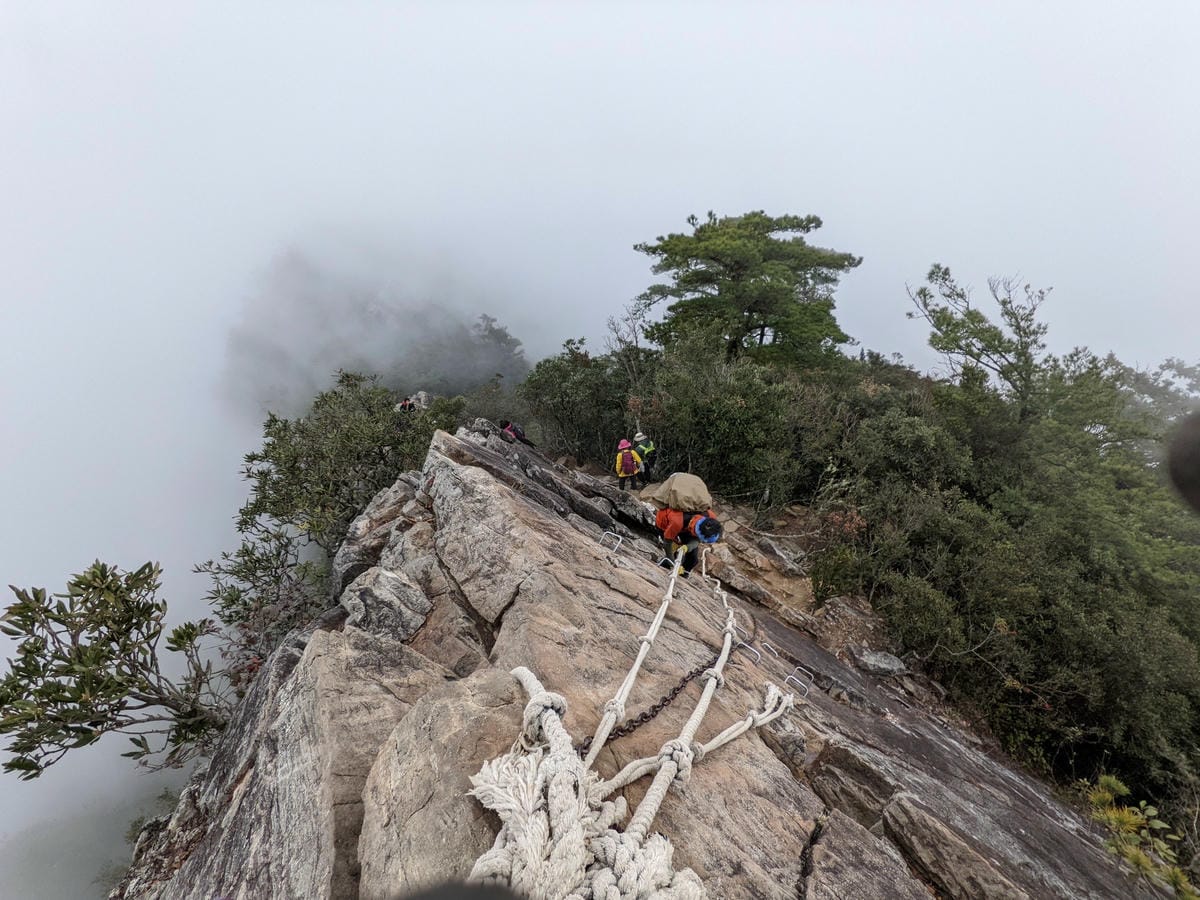 鳶嘴稍來山環狀O型 | 攀爬拉繩森林浴通吃