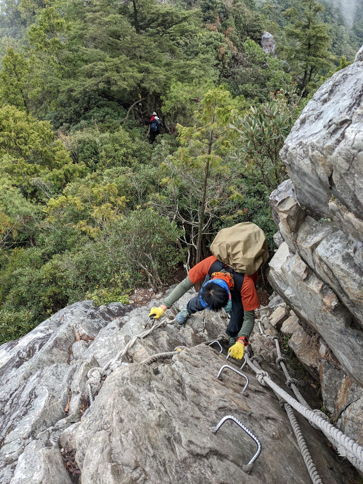 鳶嘴稍來山環狀O型 | 攀爬拉繩森林浴通吃