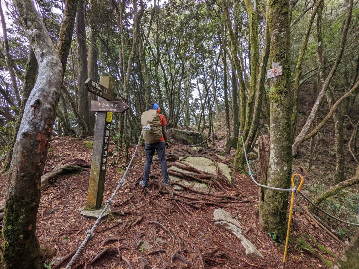 鳶嘴稍來山環狀O型 | 攀爬拉繩森林浴通吃