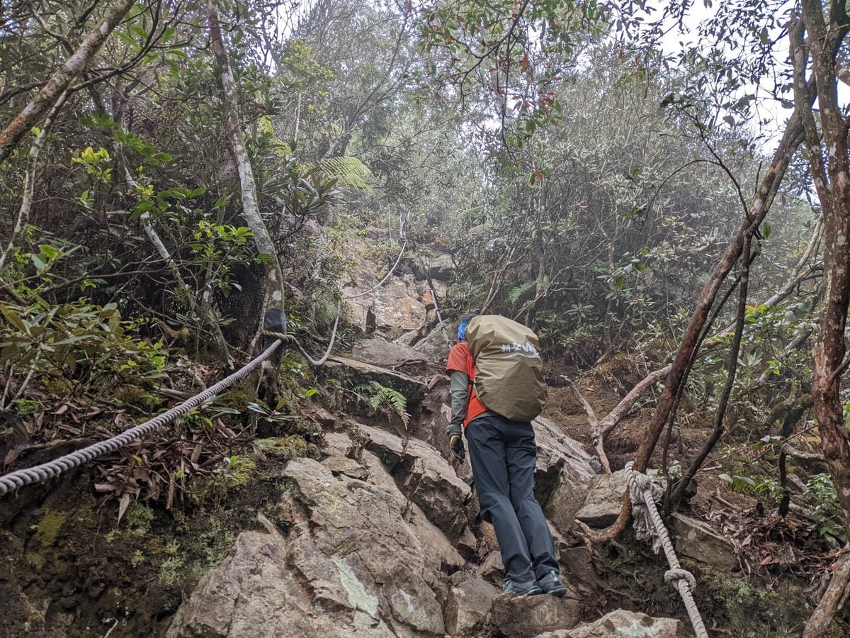 鳶嘴稍來山環狀O型 | 攀爬拉繩森林浴通吃