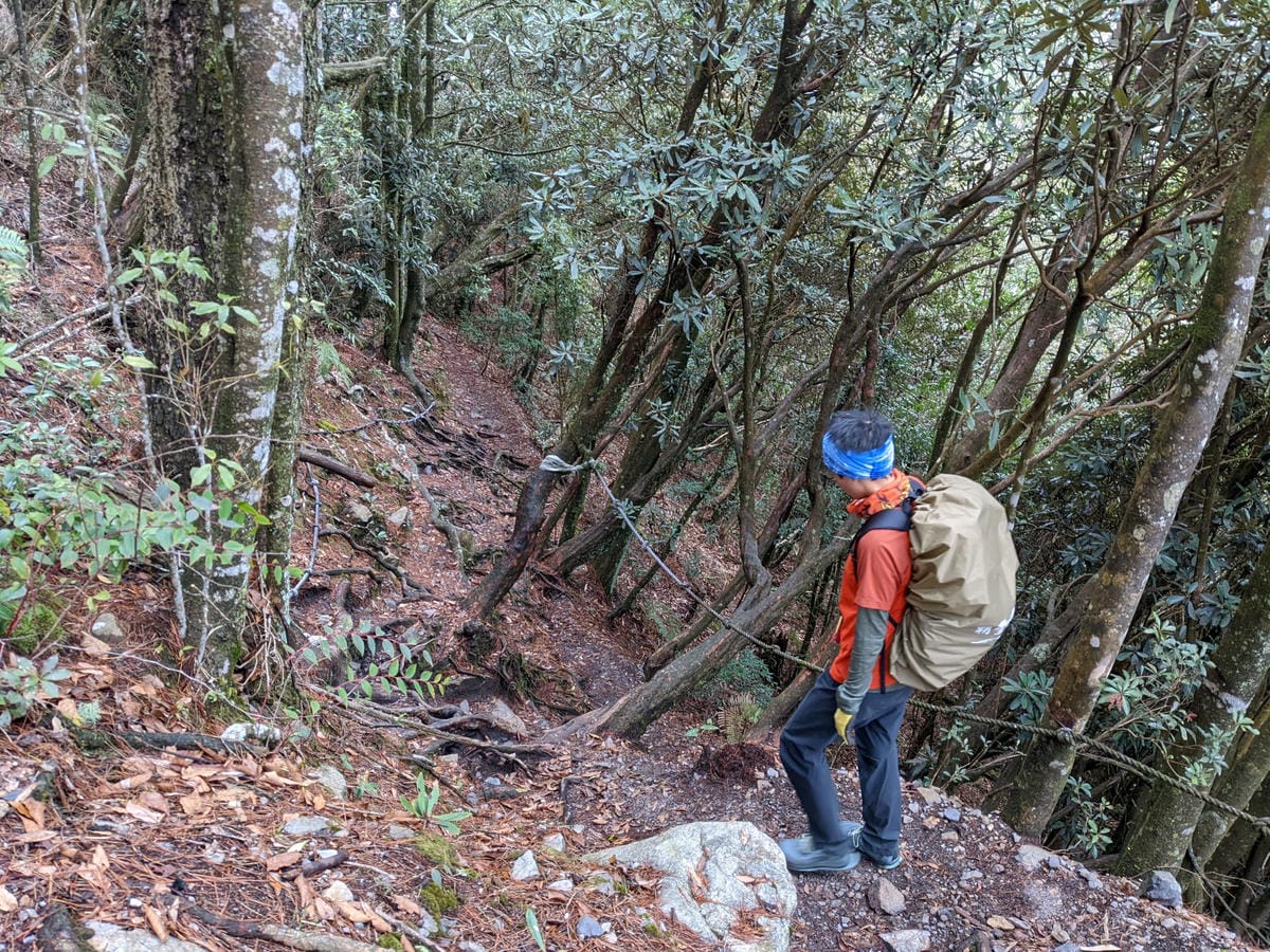 鳶嘴稍來山環狀O型 | 攀爬拉繩森林浴通吃