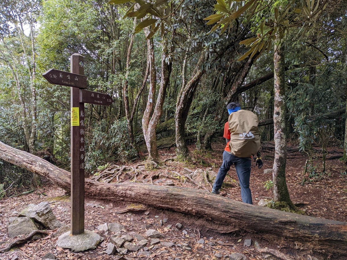鳶嘴稍來山環狀O型 | 攀爬拉繩森林浴通吃