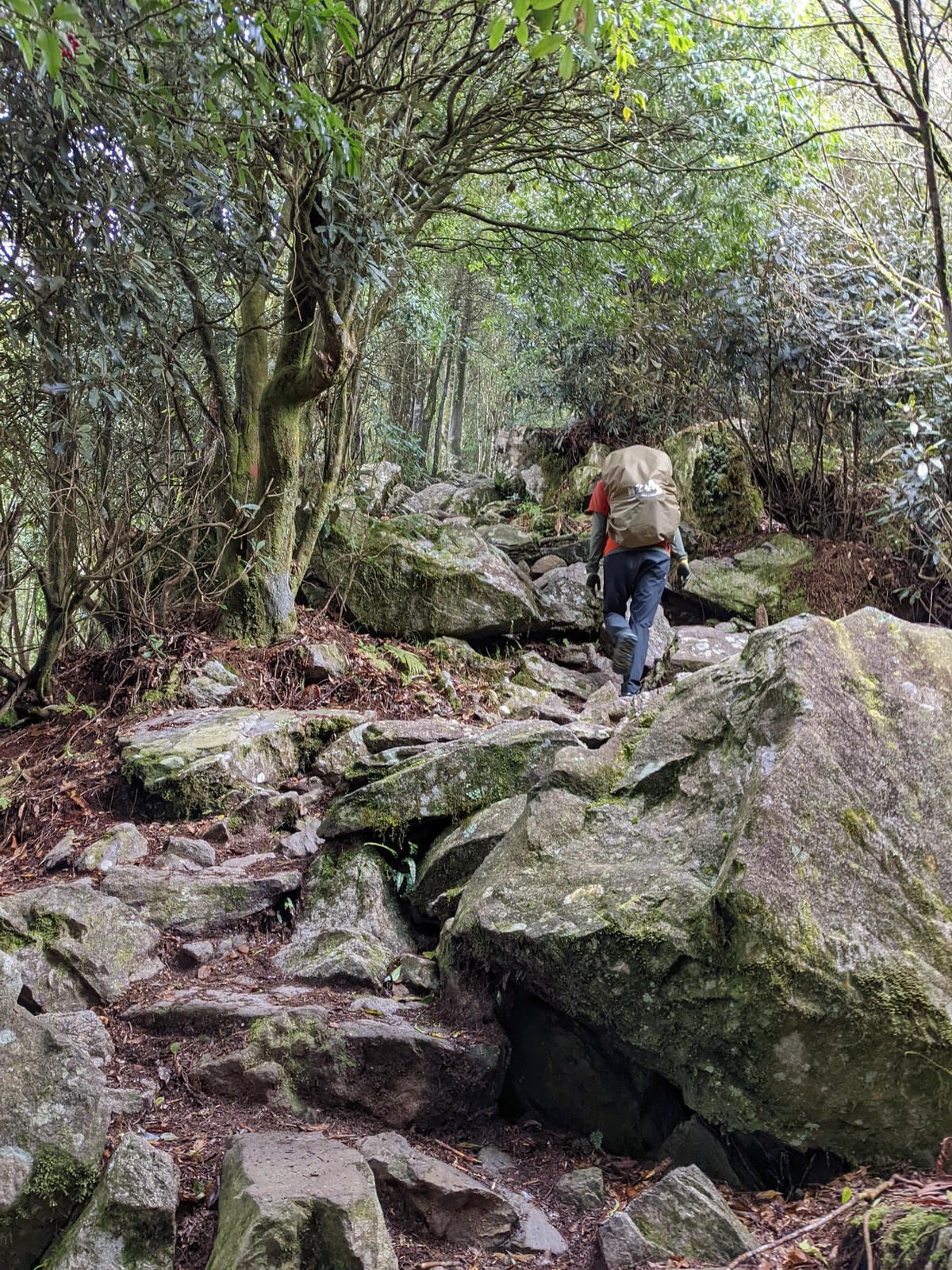 鳶嘴稍來山環狀O型 | 攀爬拉繩森林浴通吃