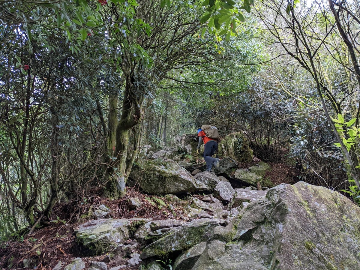 鳶嘴稍來山環狀O型 | 攀爬拉繩森林浴通吃