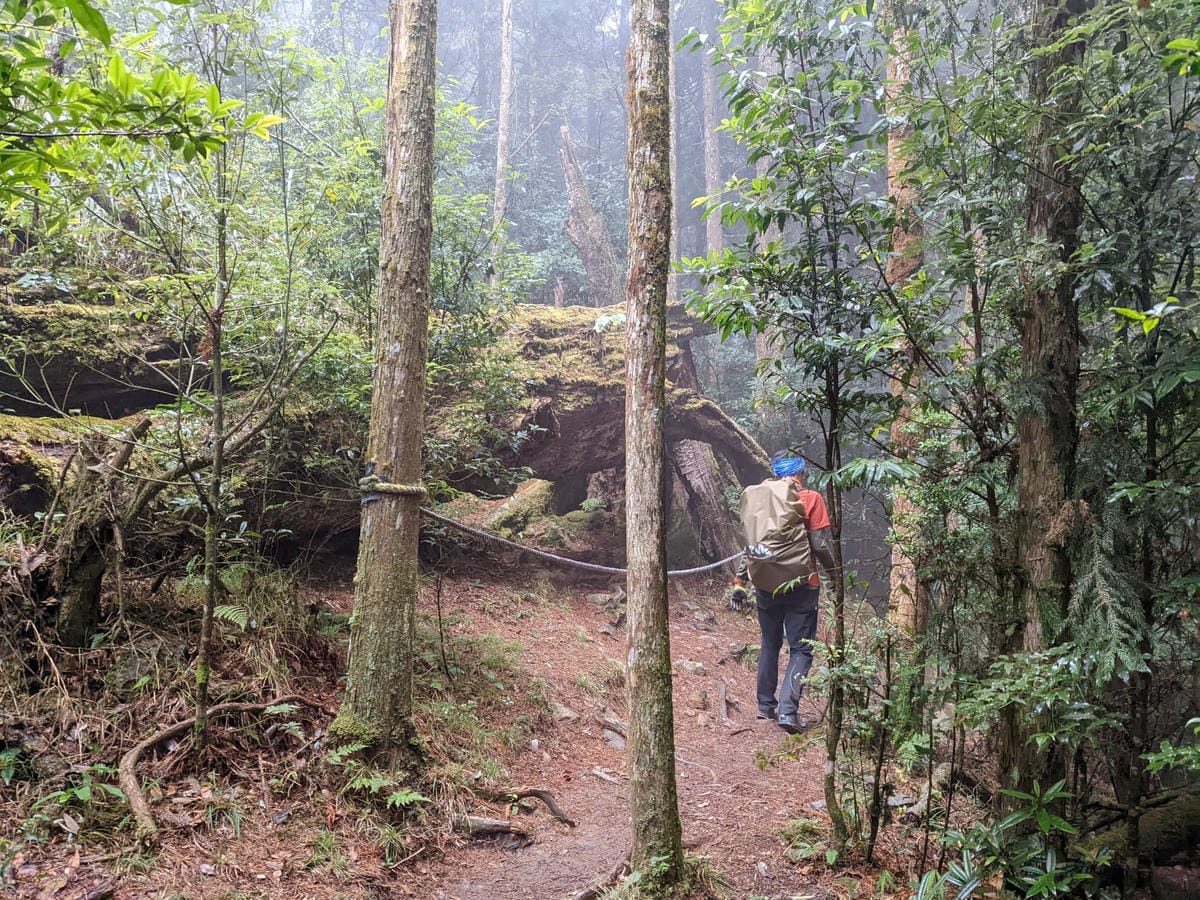 鳶嘴稍來山環狀O型 | 攀爬拉繩森林浴通吃