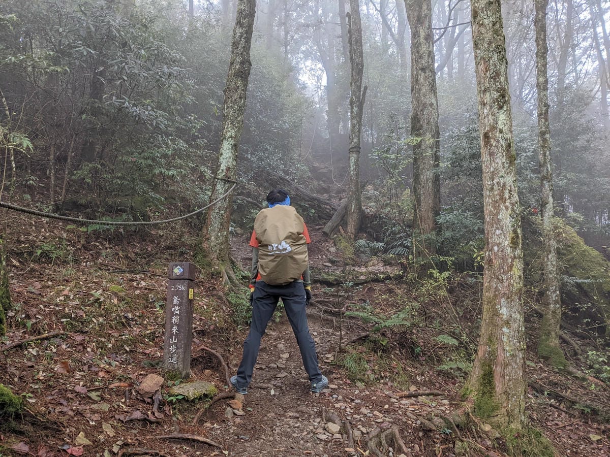 鳶嘴稍來山環狀O型 | 攀爬拉繩森林浴通吃