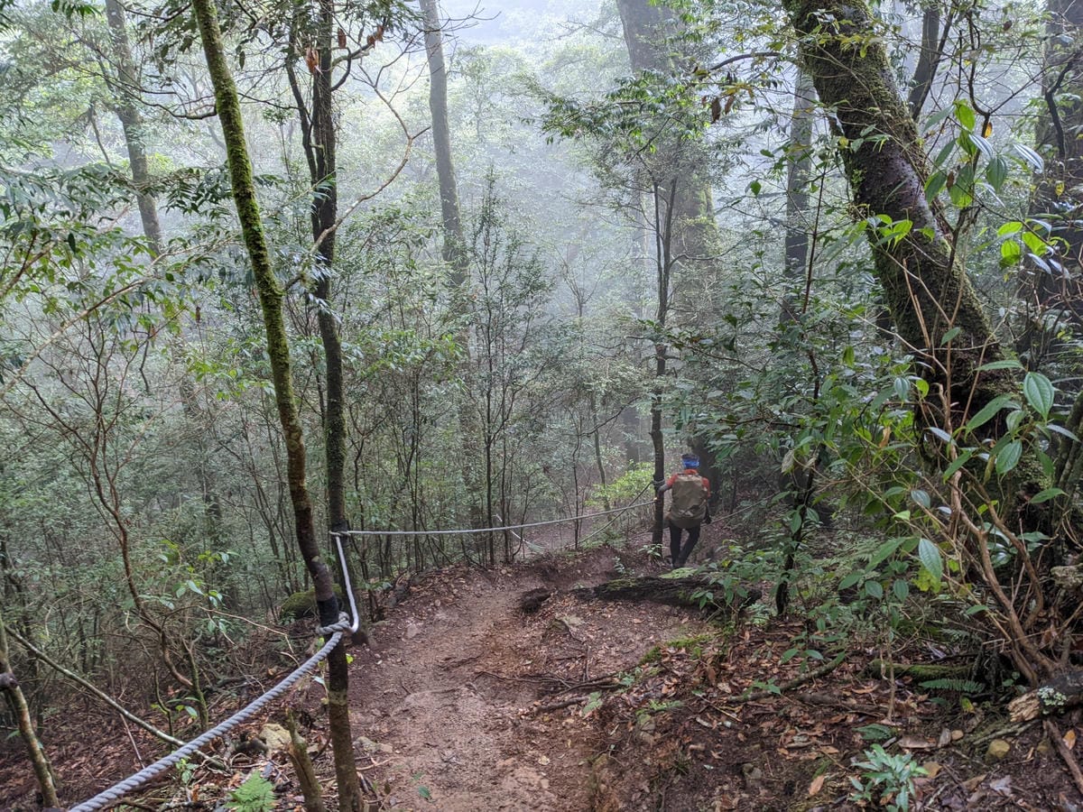 鳶嘴稍來山環狀O型 | 攀爬拉繩森林浴通吃