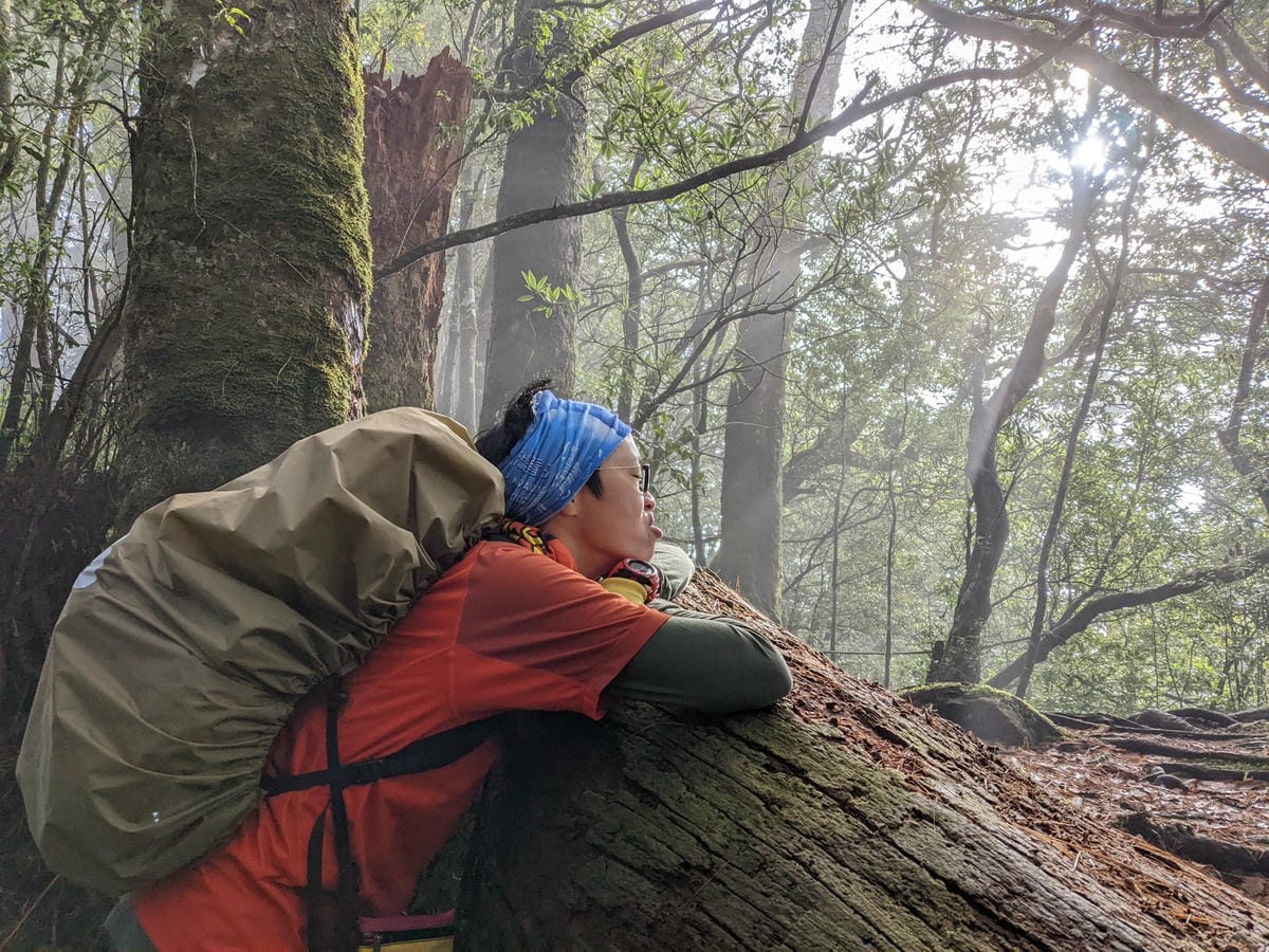 鳶嘴稍來山環狀O型 | 攀爬拉繩森林浴通吃