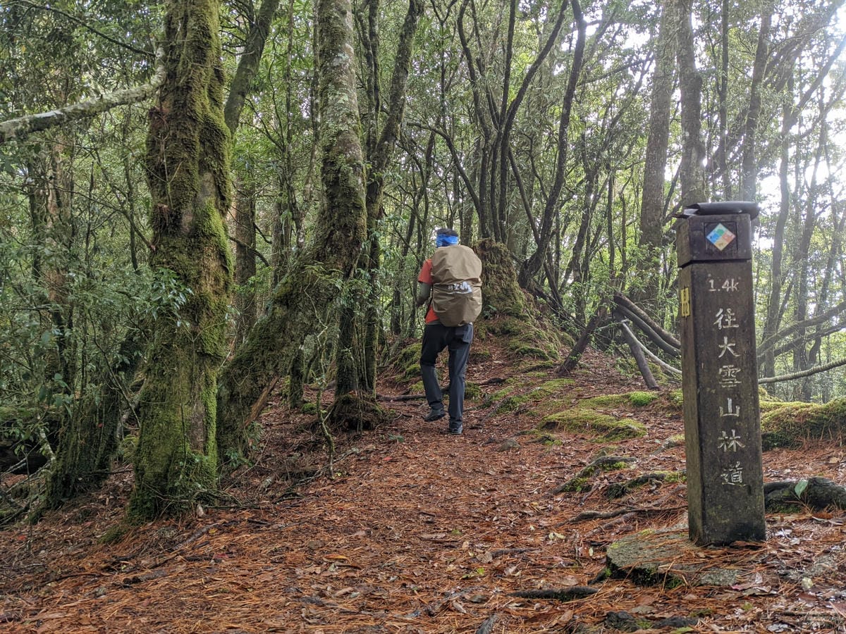 鳶嘴稍來山環狀O型 | 攀爬拉繩森林浴通吃