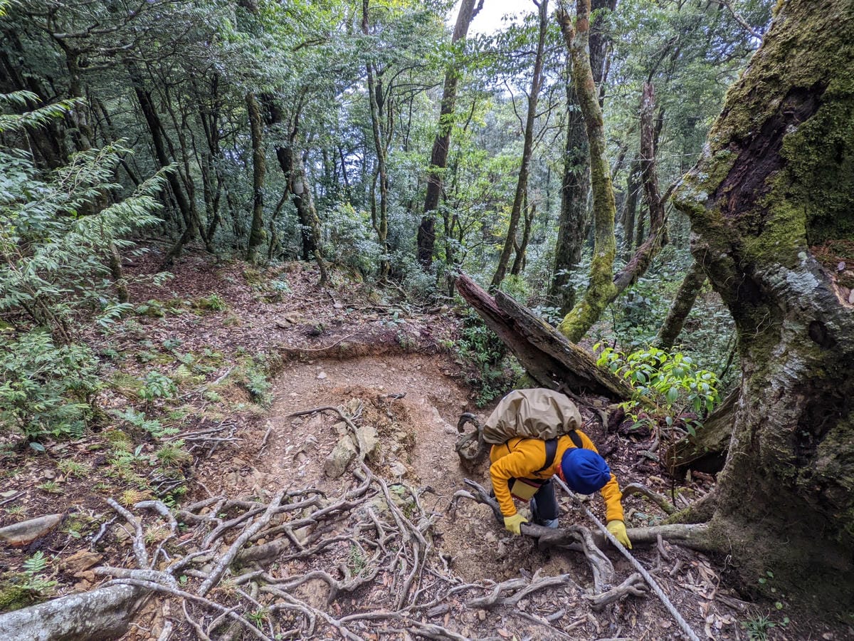鳶嘴稍來山環狀O型 | 攀爬拉繩森林浴通吃
