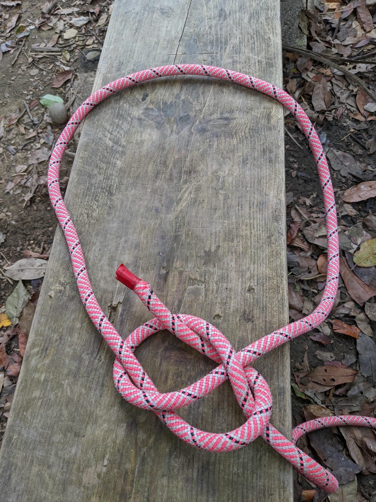 戶外困難地形通過課程心得攀樹感想