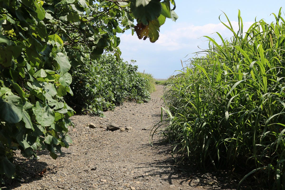 阿朗壹古道屏東到台東 旭海進南田出的台東藍