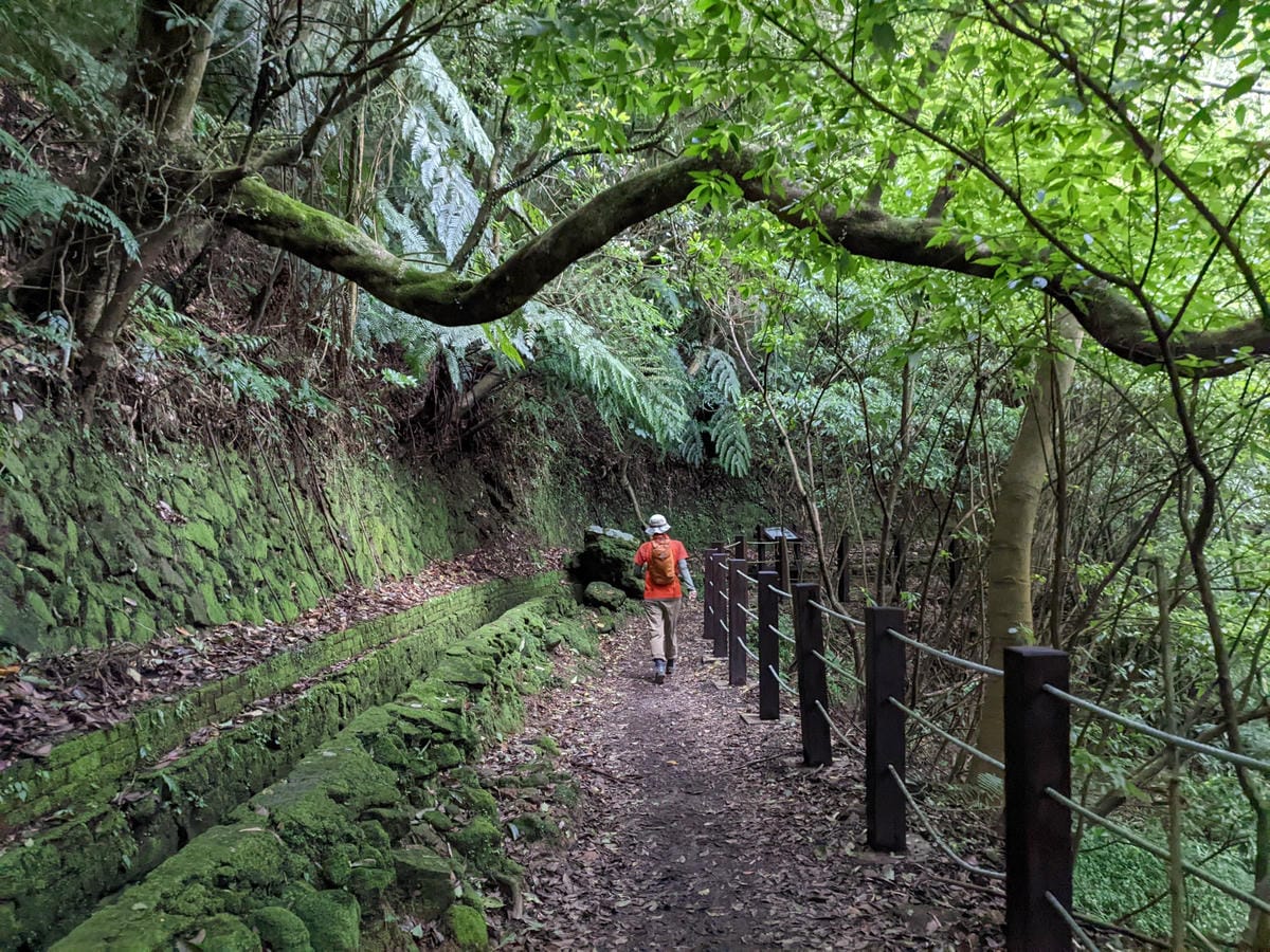 魚路古道全段絹絲瀑布到金山 18K金包里大路