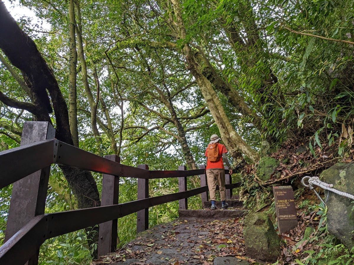 魚路古道全段絹絲瀑布到金山 18K金包里大路