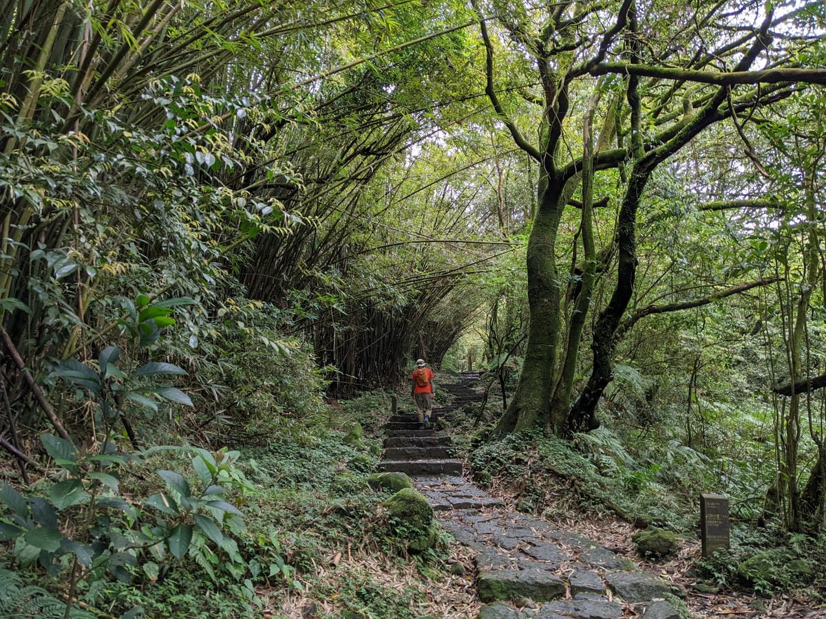 魚路古道全段絹絲瀑布到金山 18K金包里大路