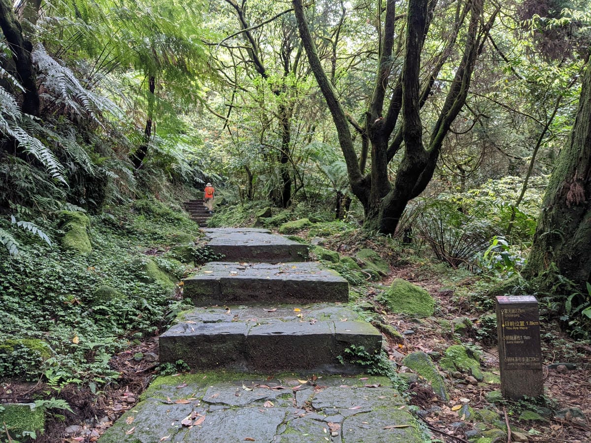 魚路古道全段絹絲瀑布到金山 18K金包里大路