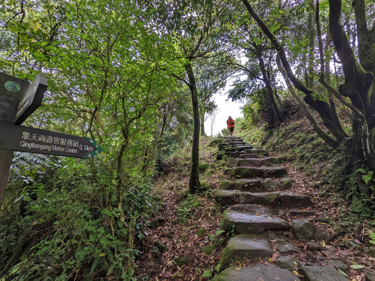 魚路古道全段絹絲瀑布到金山 18K金包里大路