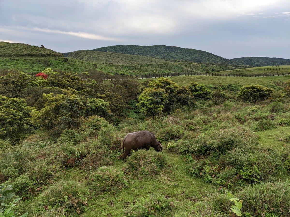魚路古道全段絹絲瀑布到金山 18K金包里大路