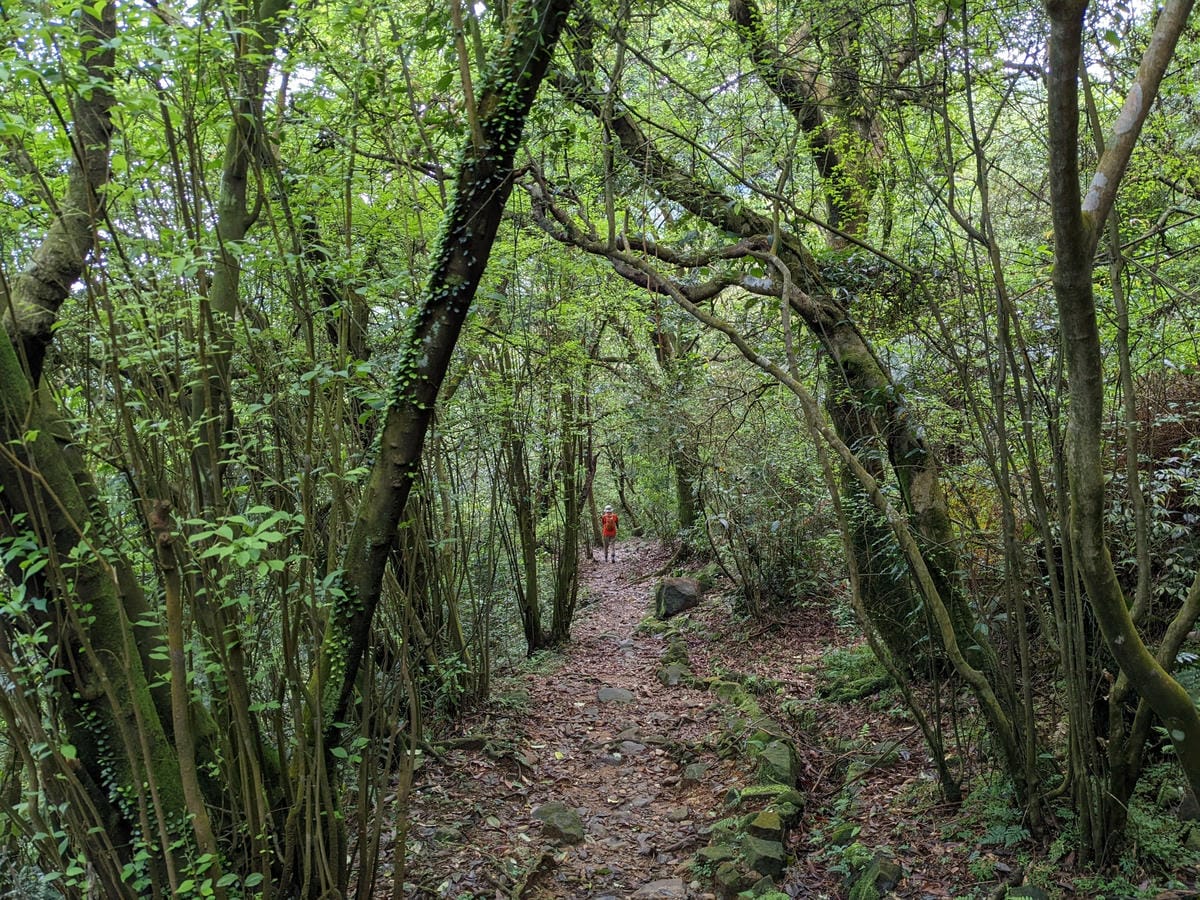 魚路古道全段絹絲瀑布到金山 18K金包里大路