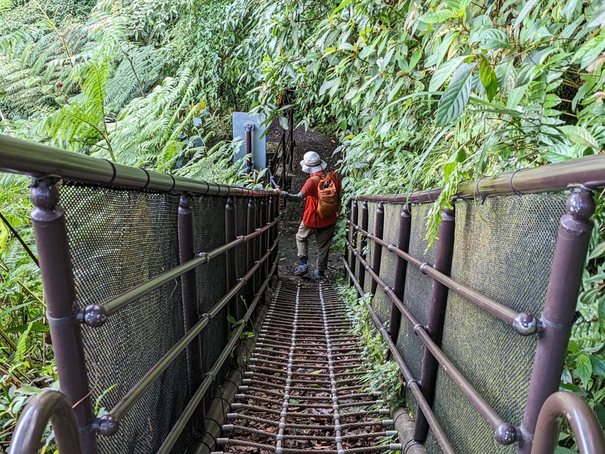 魚路古道全段絹絲瀑布到金山 18K金包里大路