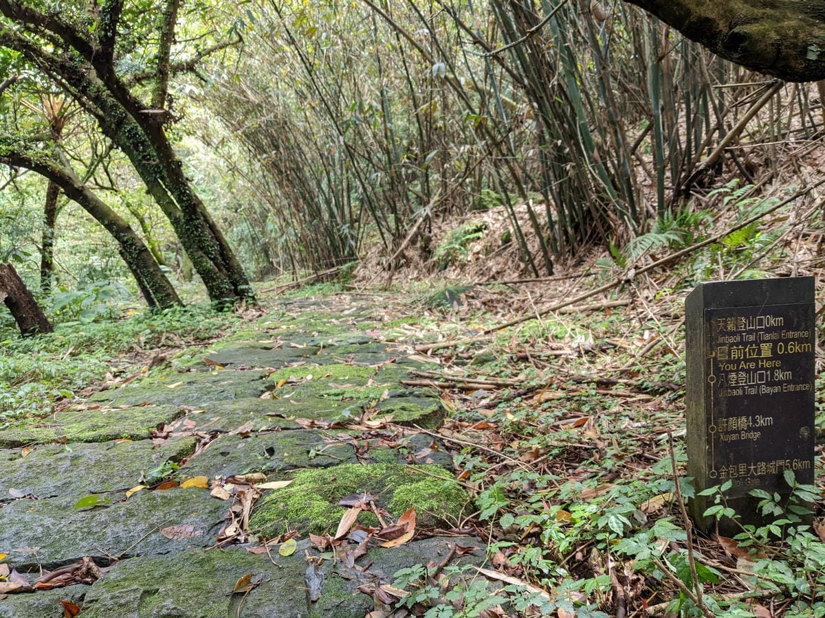 魚路古道全段絹絲瀑布到金山 18K金包里大路