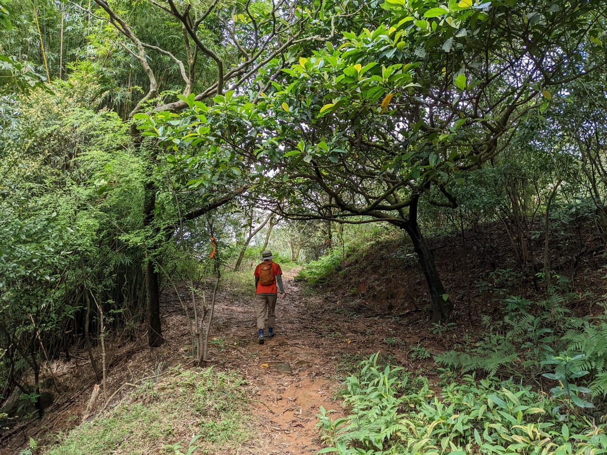 魚路古道全段絹絲瀑布到金山 18K金包里大路