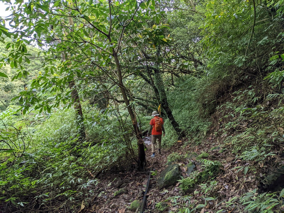 魚路古道全段絹絲瀑布到金山 18K金包里大路
