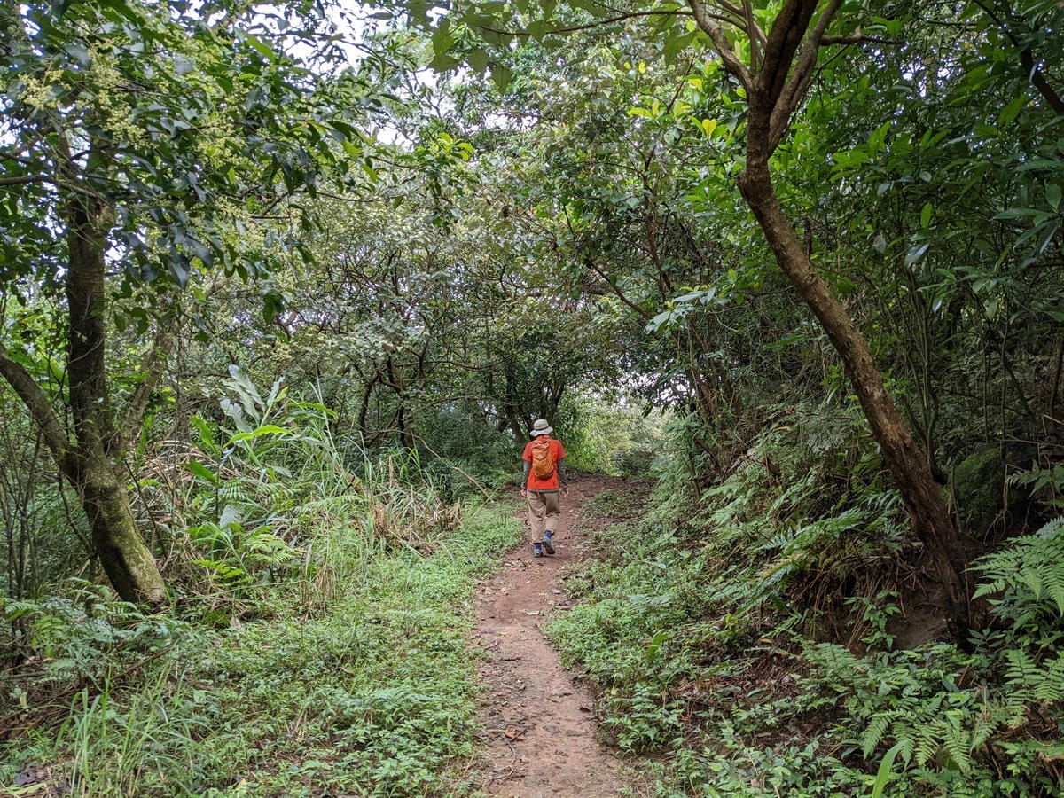 魚路古道全段絹絲瀑布到金山 18K金包里大路