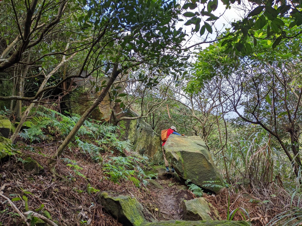 劍龍稜新路線 鋸齒稜茶壺山稜線縱走之繩索已拆