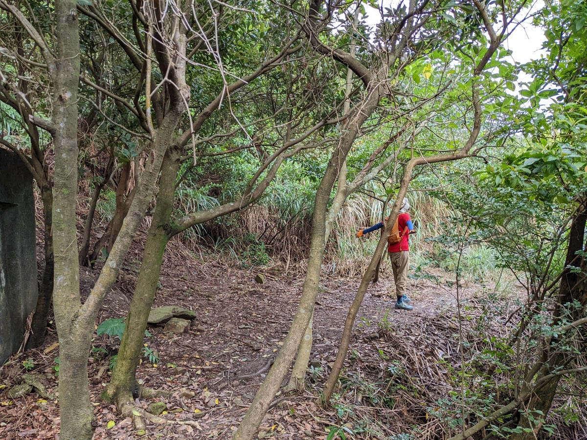 劍龍稜新路線 鋸齒稜茶壺山稜線縱走之繩索已拆