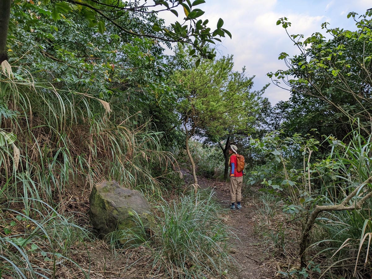 劍龍稜新路線 鋸齒稜茶壺山稜線縱走之繩索已拆