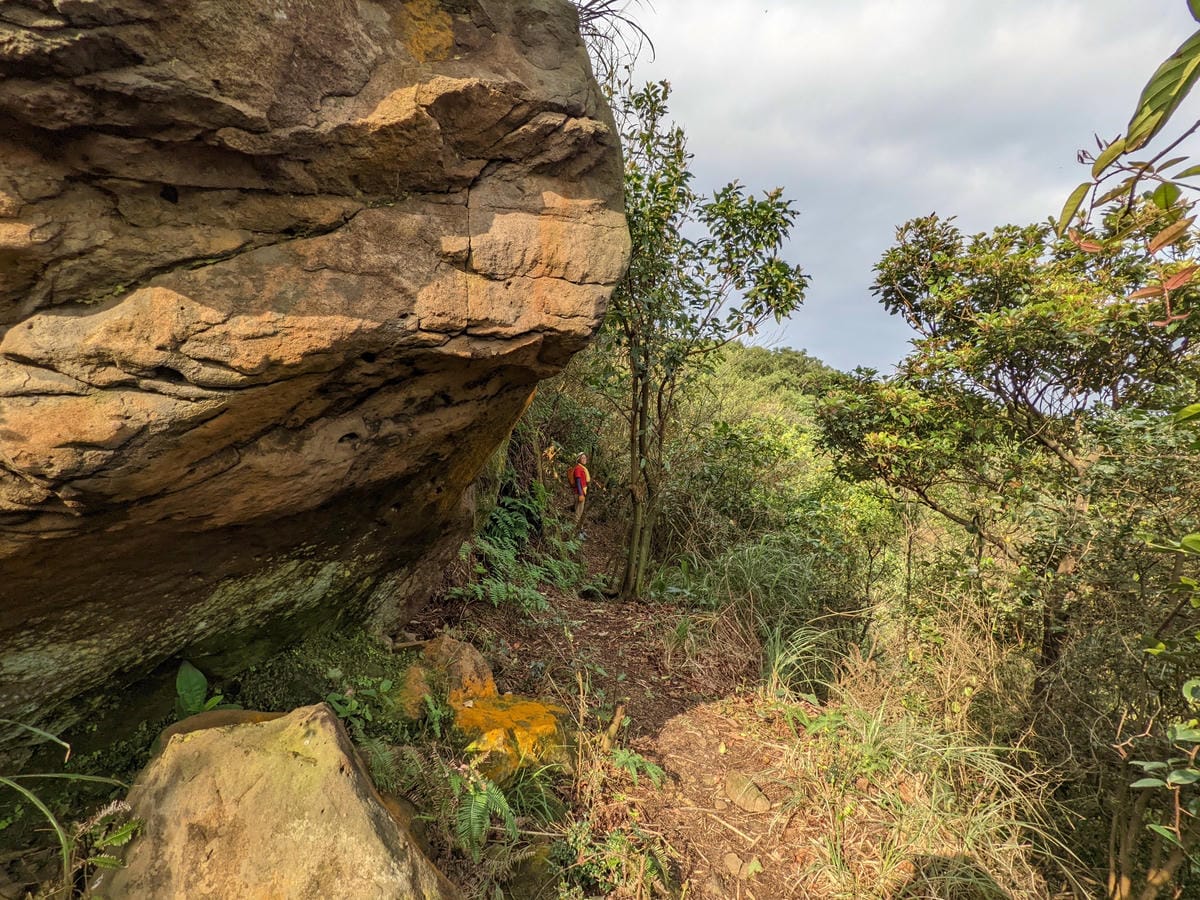 劍龍稜新路線 鋸齒稜茶壺山稜線縱走之繩索已拆