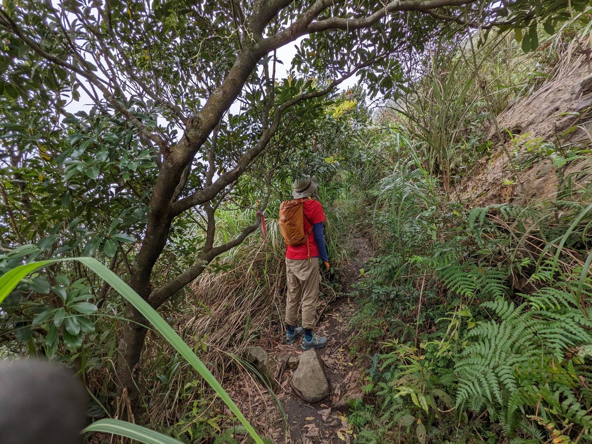 劍龍稜新路線 鋸齒稜茶壺山稜線縱走之繩索已拆