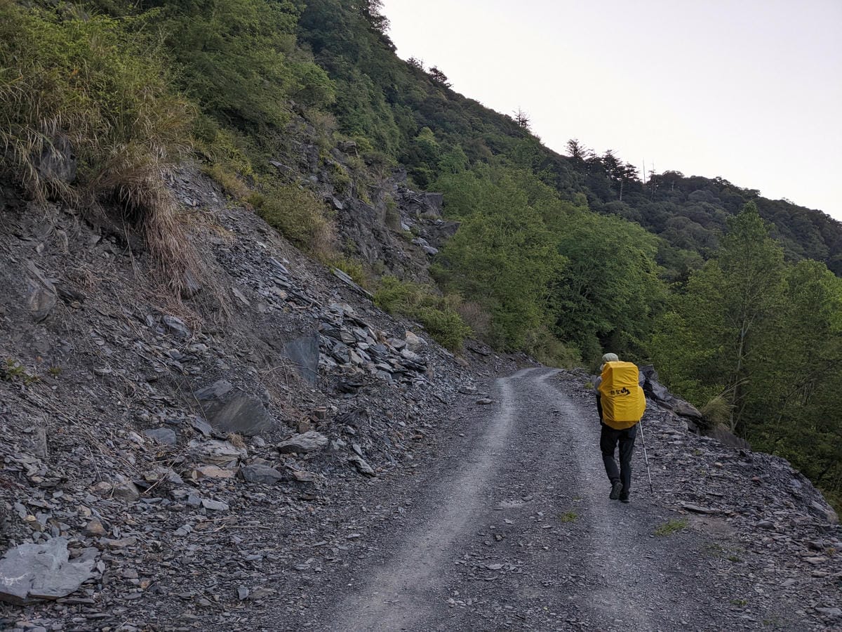 大小霸群峰 夜宿觀霧營地大鹿林道九九山莊每天20公里起跳 - 第11張圖 大小霸群峰 夜宿觀霧營地大鹿林道九九山莊每天20公里起跳