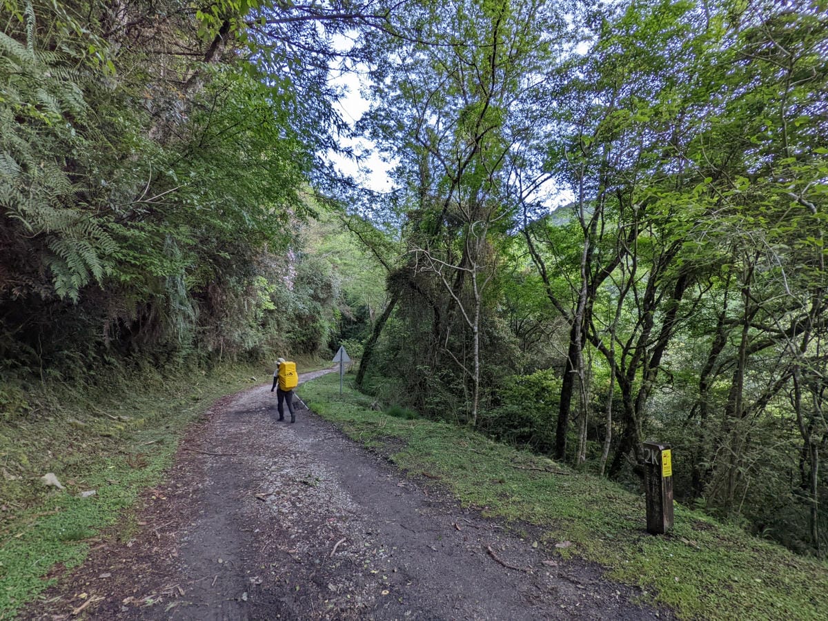 大小霸群峰 夜宿觀霧營地大鹿林道九九山莊每天20公里起跳