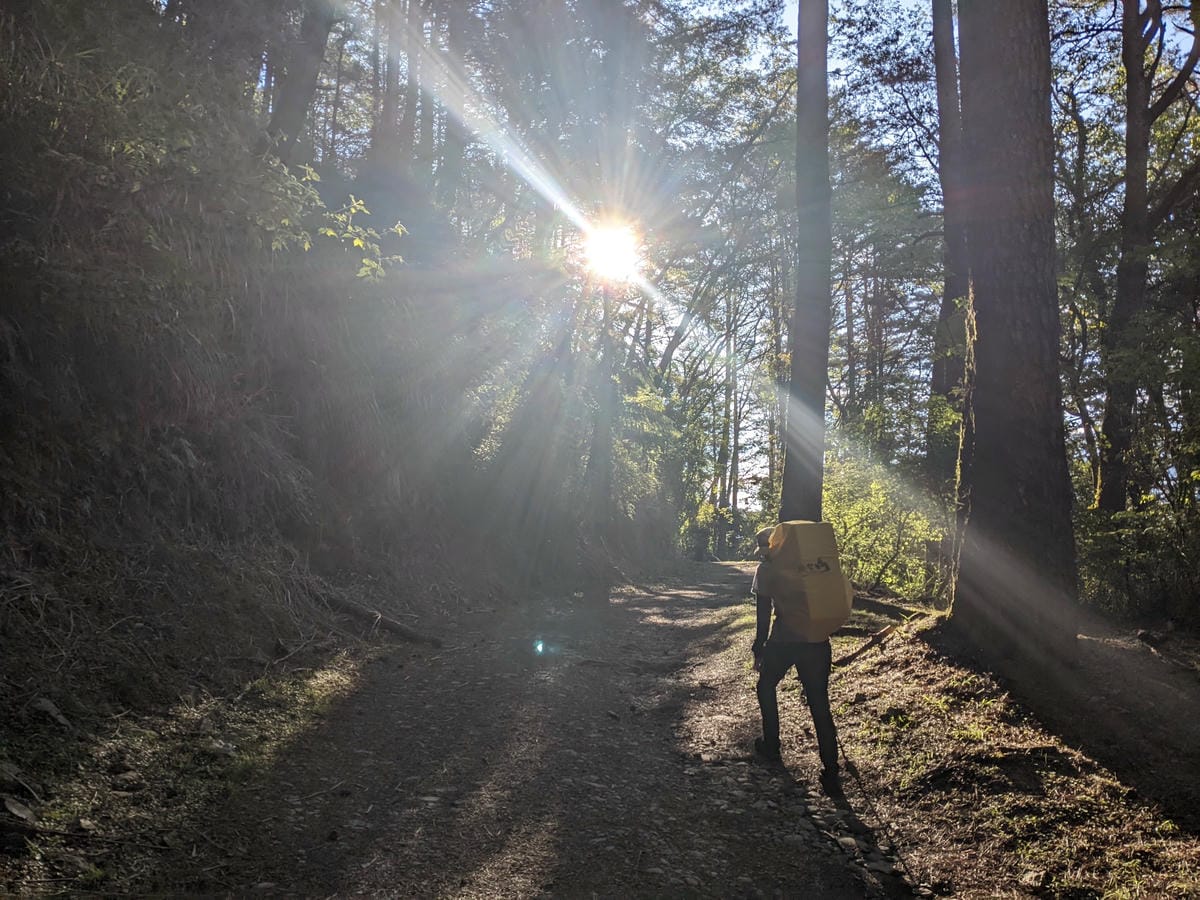大小霸群峰 夜宿觀霧營地大鹿林道九九山莊每天20公里起跳