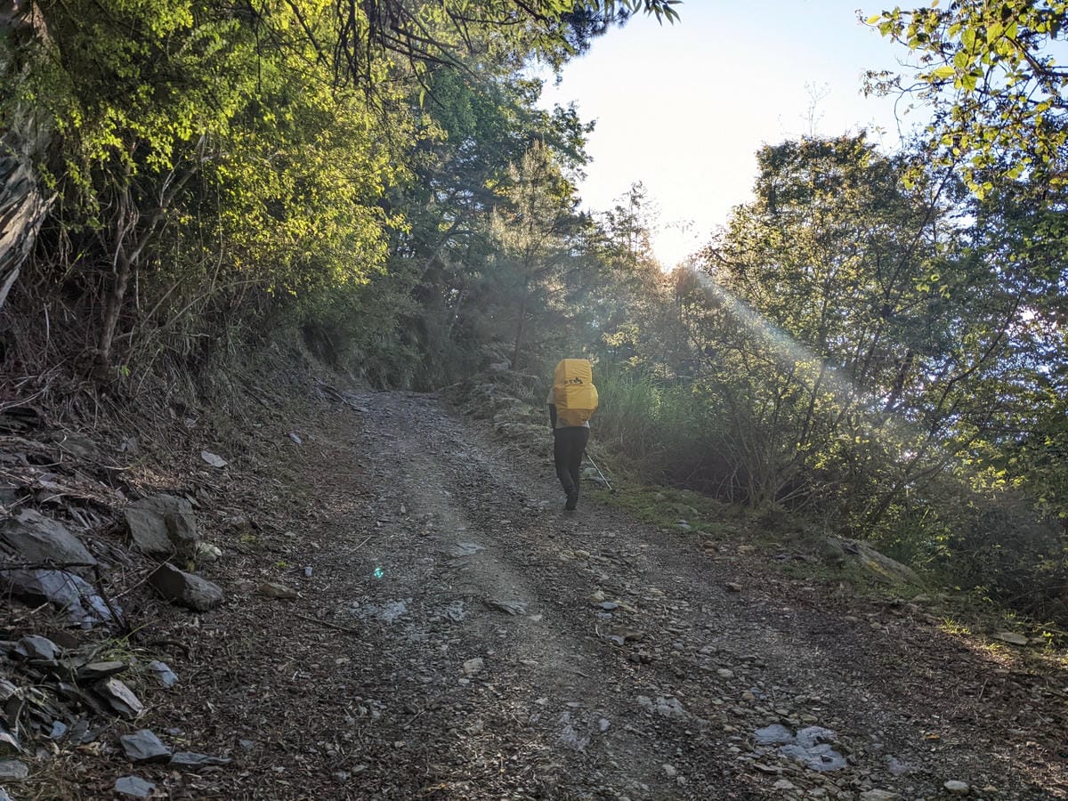 大小霸群峰 夜宿觀霧營地大鹿林道九九山莊每天20公里起跳